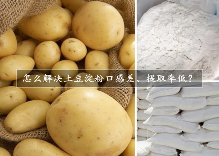 怎么解決土豆淀粉口感差、提取率低？