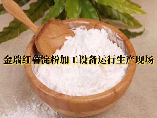 金瑞紅薯淀粉加工設(shè)備運行生產(chǎn)現(xiàn)場